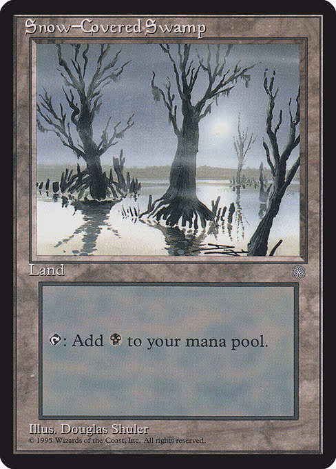 Snow-Covered Swamp - L (351)