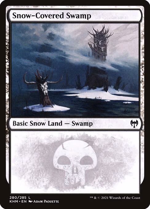 Snow-Covered Swamp - L (280)