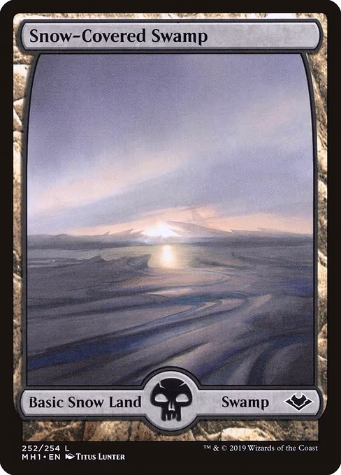 Snow-Covered Swamp - L (252)