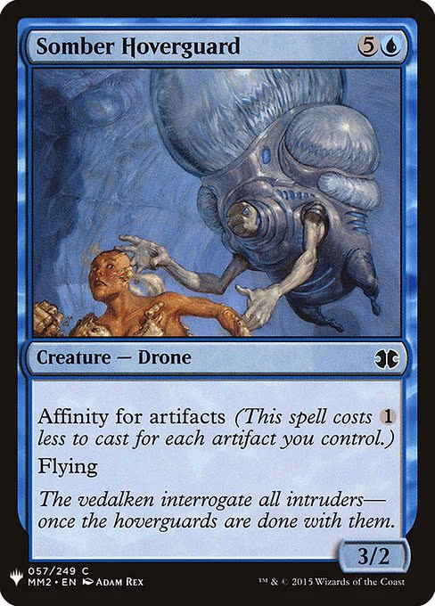 Somber Hoverguard