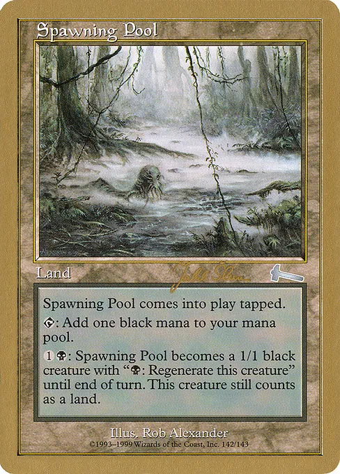 Spawning Pool - 1999 Jakub Slemr