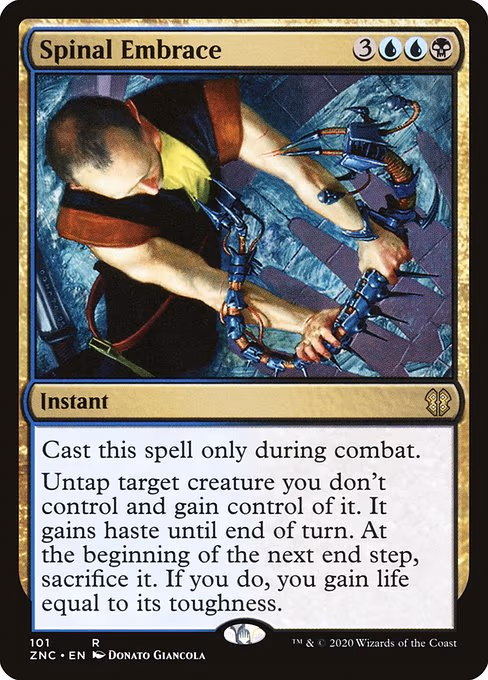 Spinal Embrace