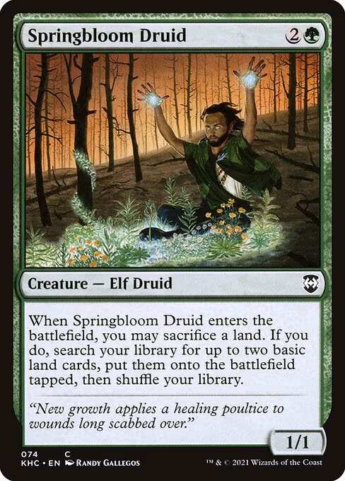 Springbloom Druid