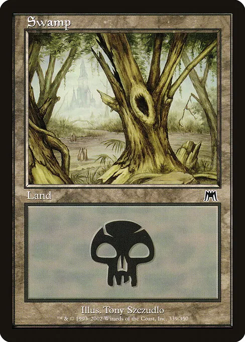 Swamp - L (339)