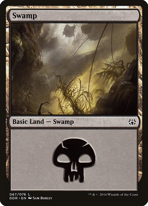 Swamp - L (67)