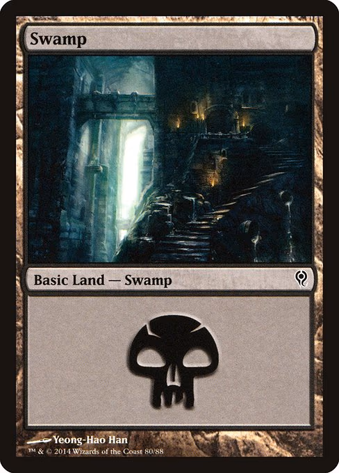 Swamp - L (80)