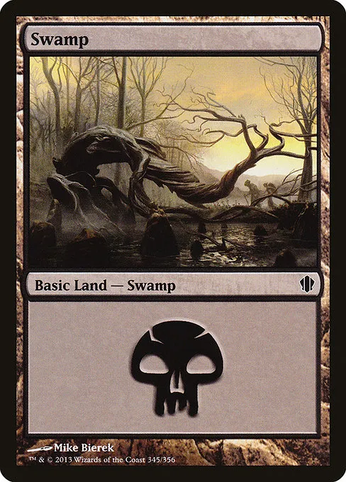 Swamp - C (345)