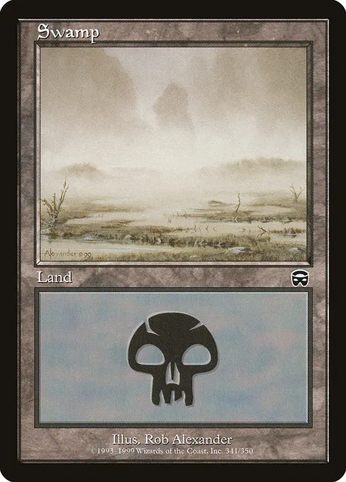 Swamp - L (341)