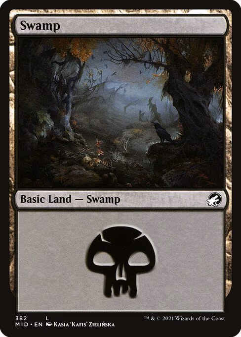 Swamp - L (382)