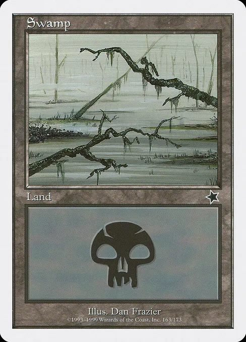 Swamp - L (163)