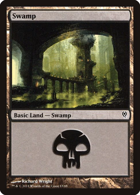 Swamp - L (83)
