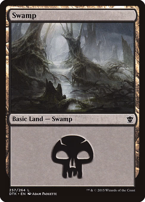 Swamp - L (257)