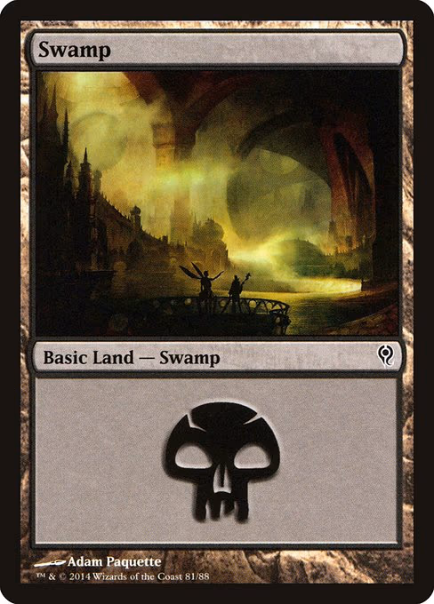 Swamp - L (81)