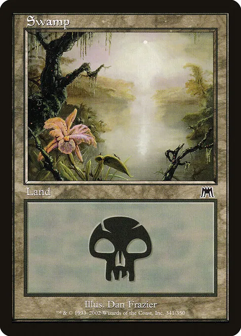 Swamp - L (341)