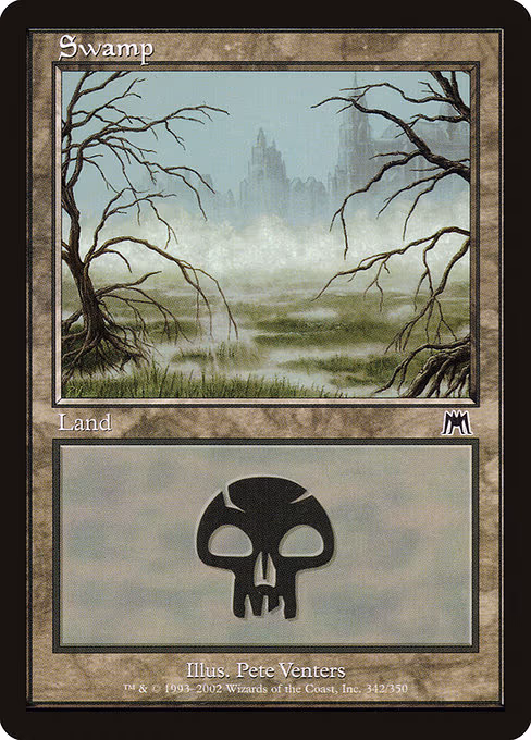 Swamp - L (342)