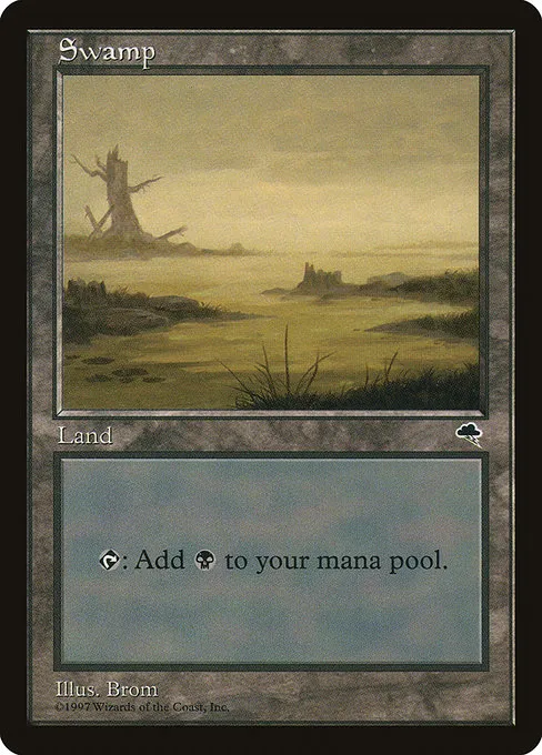 Swamp (River) - L (342)