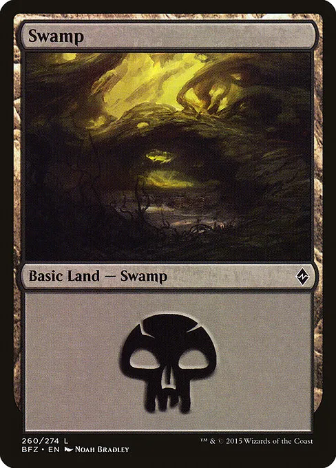 Swamp - L (260)