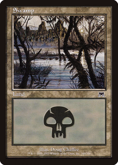 Swamp - L (340)