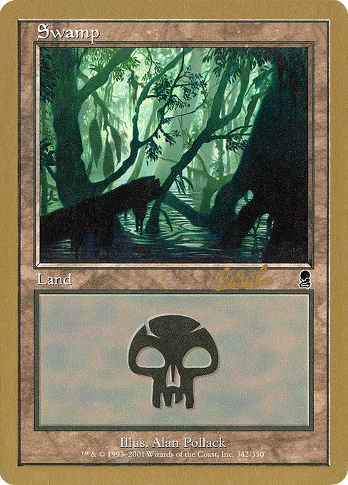 Swamp (342) - 2002 Carlos Romao