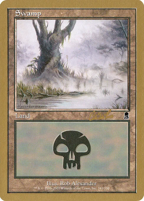 Swamp (341) - 2002 Carlos Romao