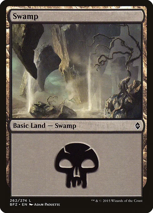 Swamp - L (262)