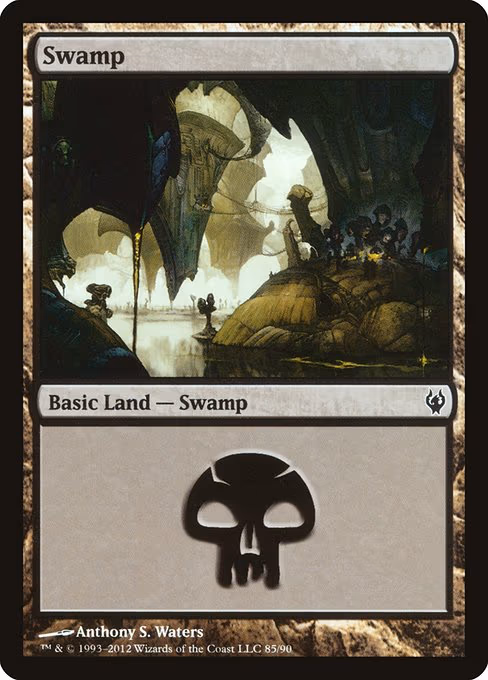 Swamp - L (85)