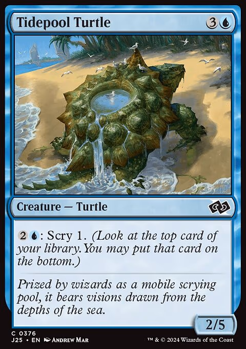 Tidepool Turtle