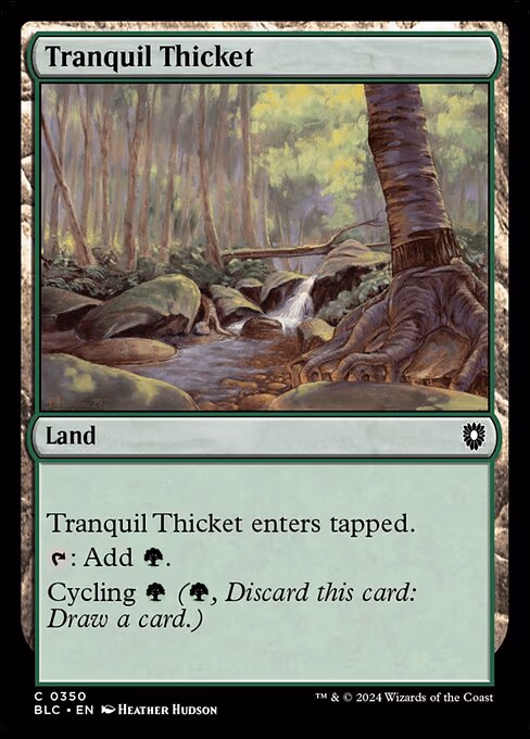 Tranquil Thicket