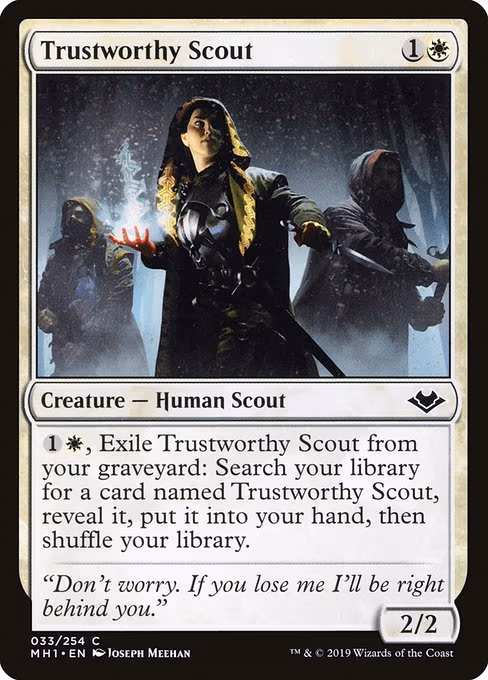 Trustworthy Scout - C (33)