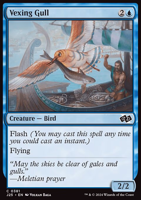 Vexing Gull