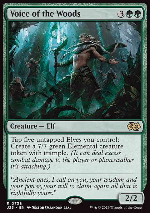 Voice of the Woods