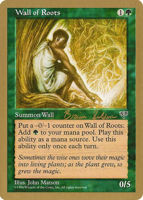 Wall of Roots - 1998 Brian Selden - S
