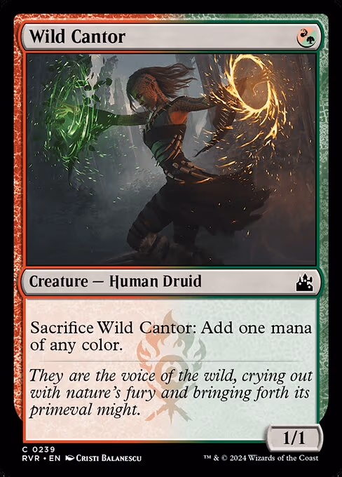 Wild Cantor