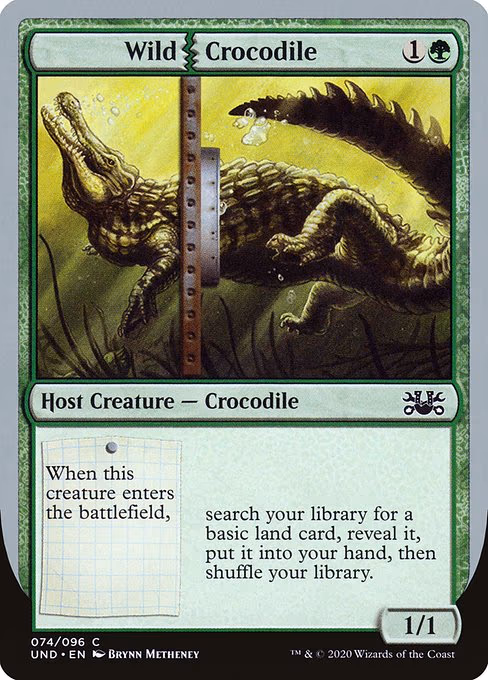 Wild Crocodile - C (74)