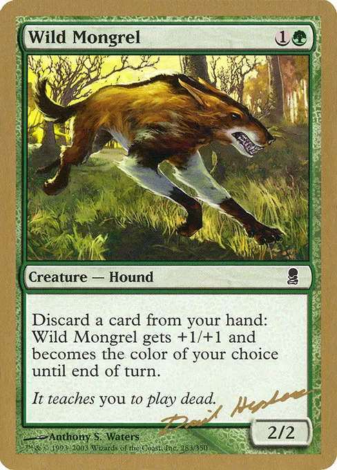 Wild Mongrel - 2003 Dave Humpherys