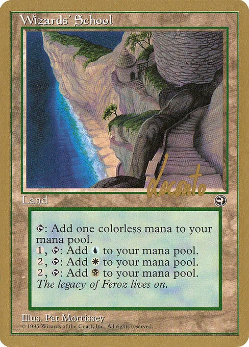 Wizards' School - 1996 Michael Loconto