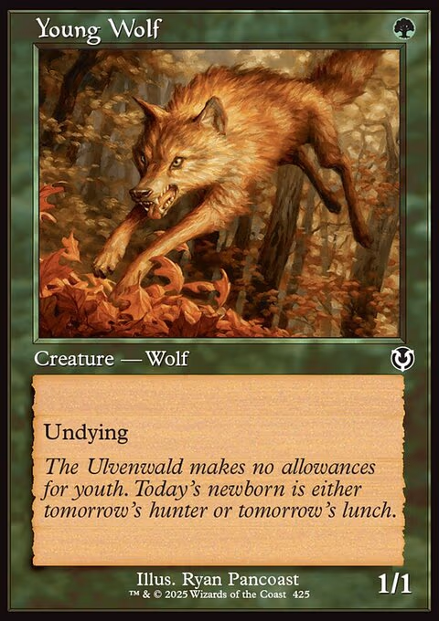Young Wolf (Retro Frame)