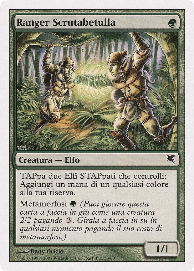 Birchlore Rangers (Italian) - "Ranger Scrutabetulla"