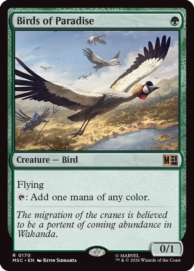 Birds of Paradise - R (170)