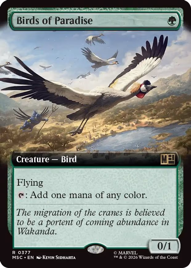 Birds of Paradise