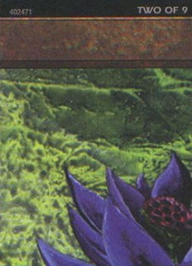 Black Lotus