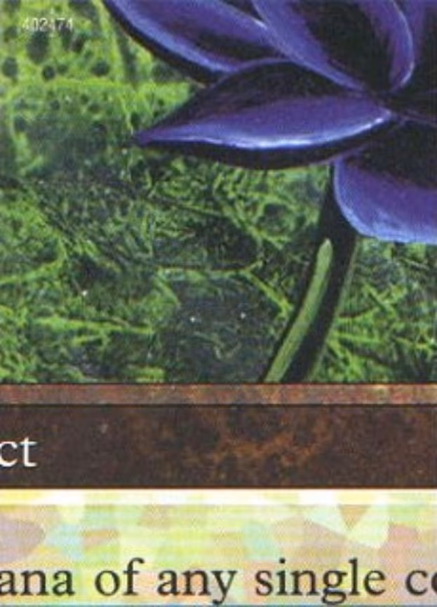 Black Lotus