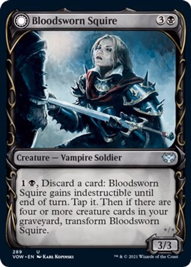 Bloodsworn Squire