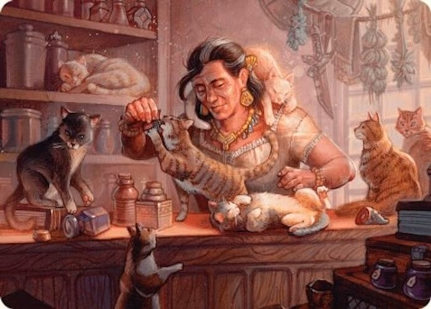 Cat Collector Art Card