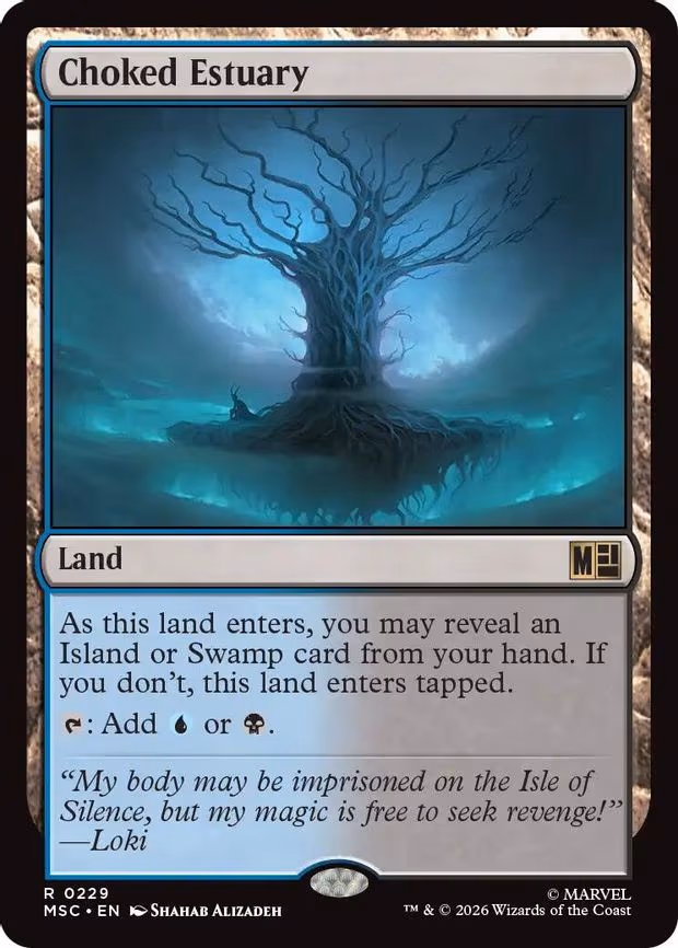 Choked Estuary