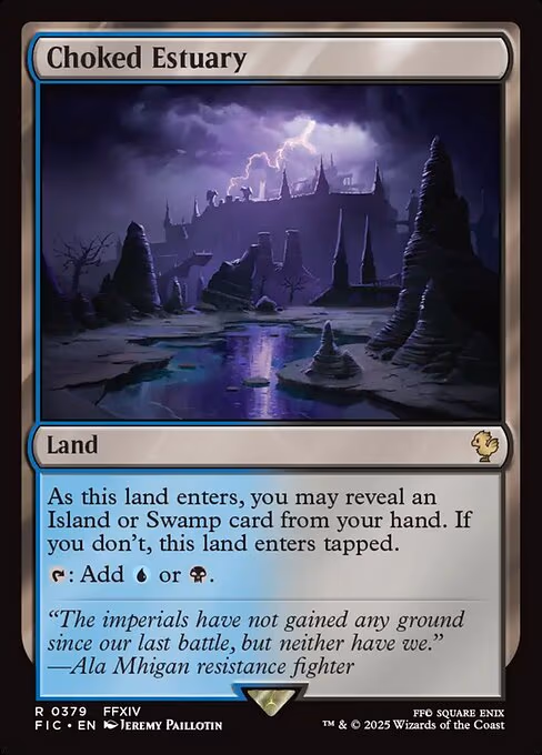 Choked Estuary