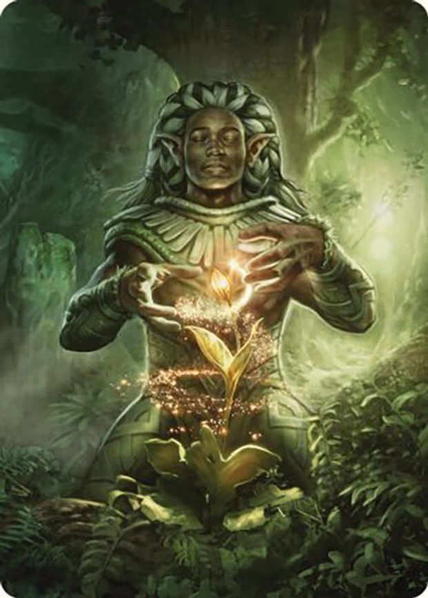 Elvish Mystic Art Card