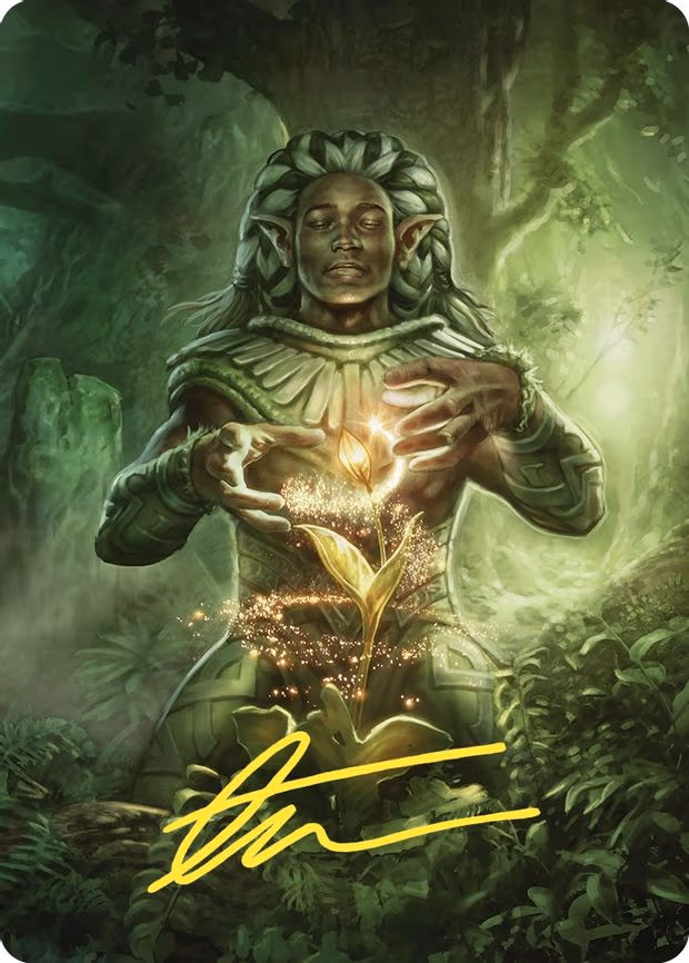 Elvish Mystic Art Card