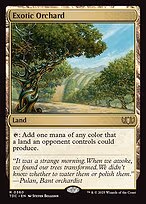 Exotic Orchard - R (360)