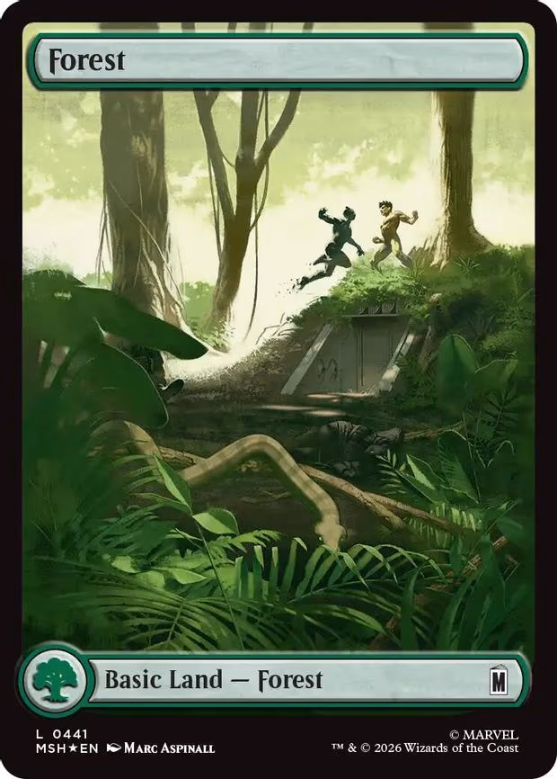 Forest - L (441)